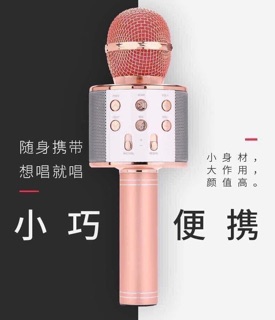 Mic hát karaoke WS 858