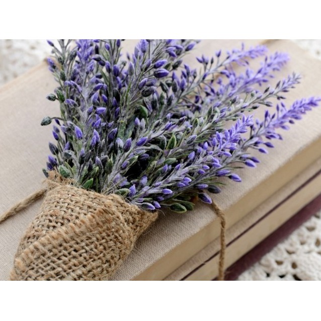 Tinh dầu oải hương (lavender) Pháp chai 10ml Mộc Mây