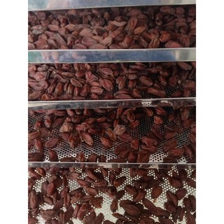 300g cóc non sấy dẻo ăn cả hạt sần sật ạ