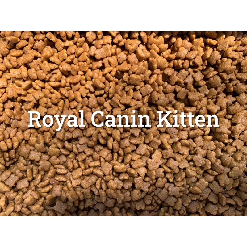 [ BÁN SỈ ] Hạt cho mèo con 4 -12 tháng Royal Canin Kitten 36 1kg