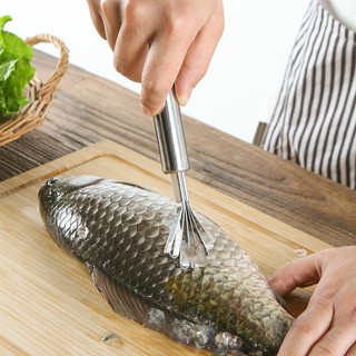 Dụng cụ đánh vảy cá, nạo dừa Inox bền đẹp