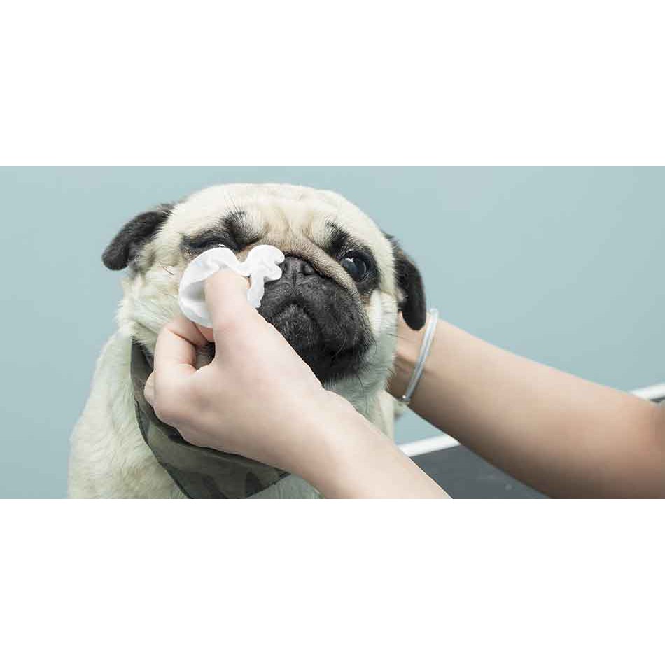 Khăn lau ố mắt -Bioline cho chó mèo -HỘP 30 miếng