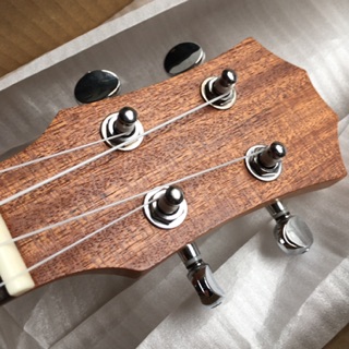 Đàn Ukulele gỗ concert | Tập chơi.