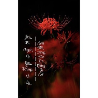 In hình theo yêu cầu Ốp lưng hoa bỉ ngạn iPhone 6/6S 6/6S Plus 7/ 8 7/ 8 Plus X/ XS/ XS Max