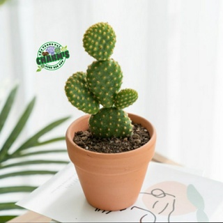 Chậu Đất Nung size 9x7cm láng mịn cực xinh