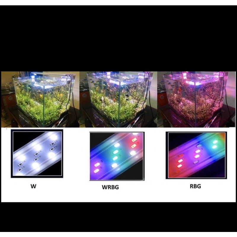 Đèn Led Bể Cá 3 Chế Độ Màu Aquarium Light RGB Cho Bể Cá Cảnh-Bể Thủy Sinh-Led Đổi Màu