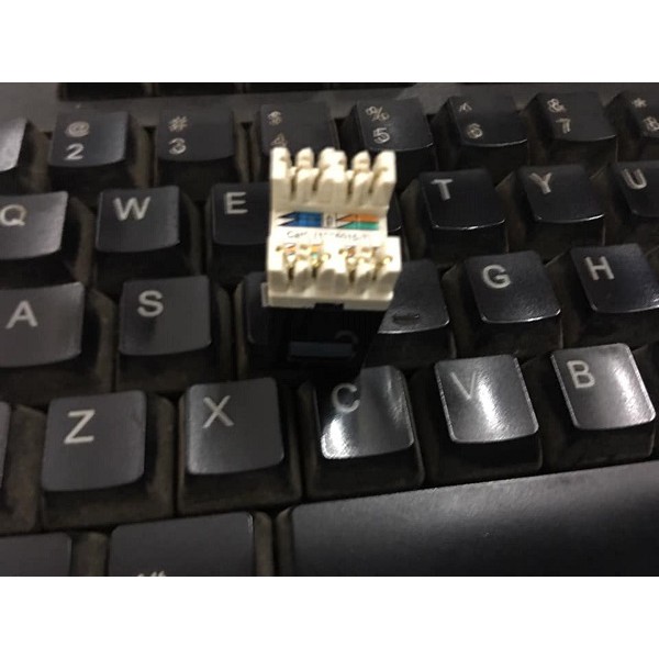 Nhân mạng dùng cho patch panel Cat5