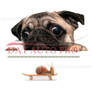 Tem Dán xe oto chó pug siêu dễ thương.