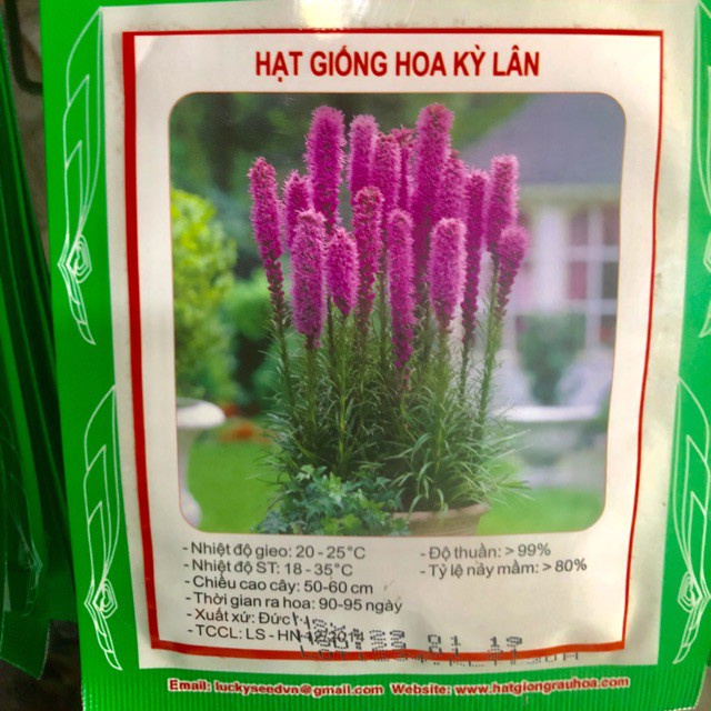 HẠT GIỐNG HOA KỲ LÂN NHẬP KHẨU.