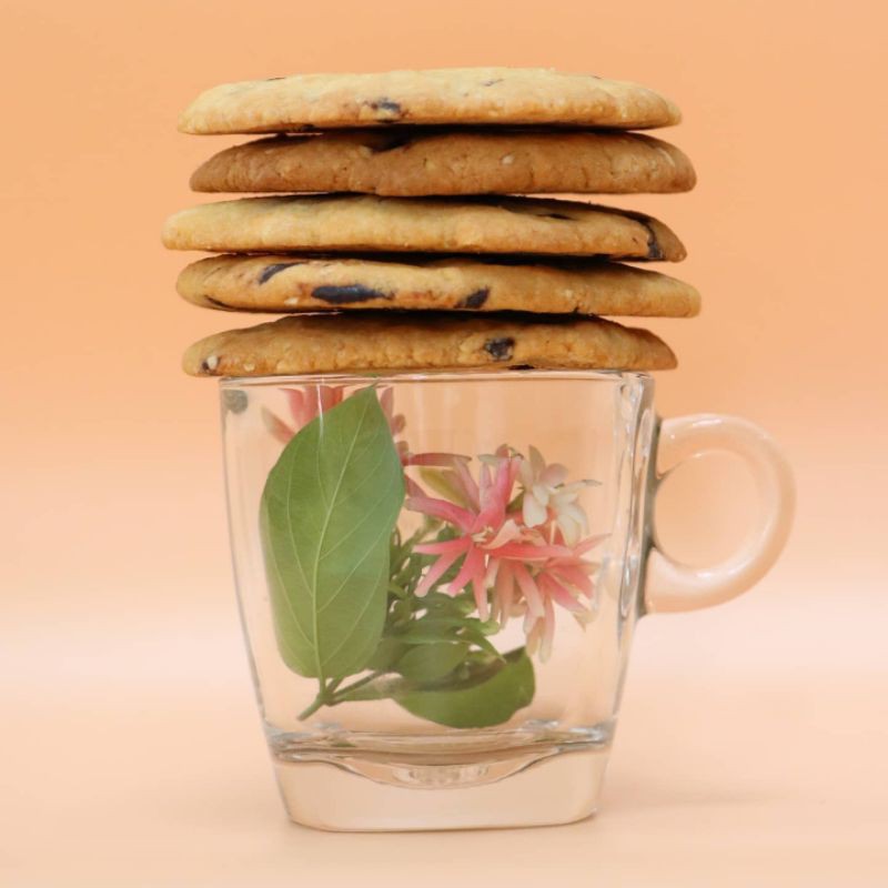 Combo 10 Whey Protein Cookie - Bánh Quy Bổ Sung Protein Giòn Rụm, Không Đường, Không Bột Mì, Ít Calo, Giàu Dinh Dưỡng