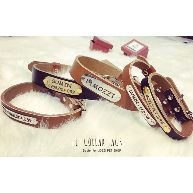 Pettag Mozzi - Dây da gắn tag dành cho thú cưng