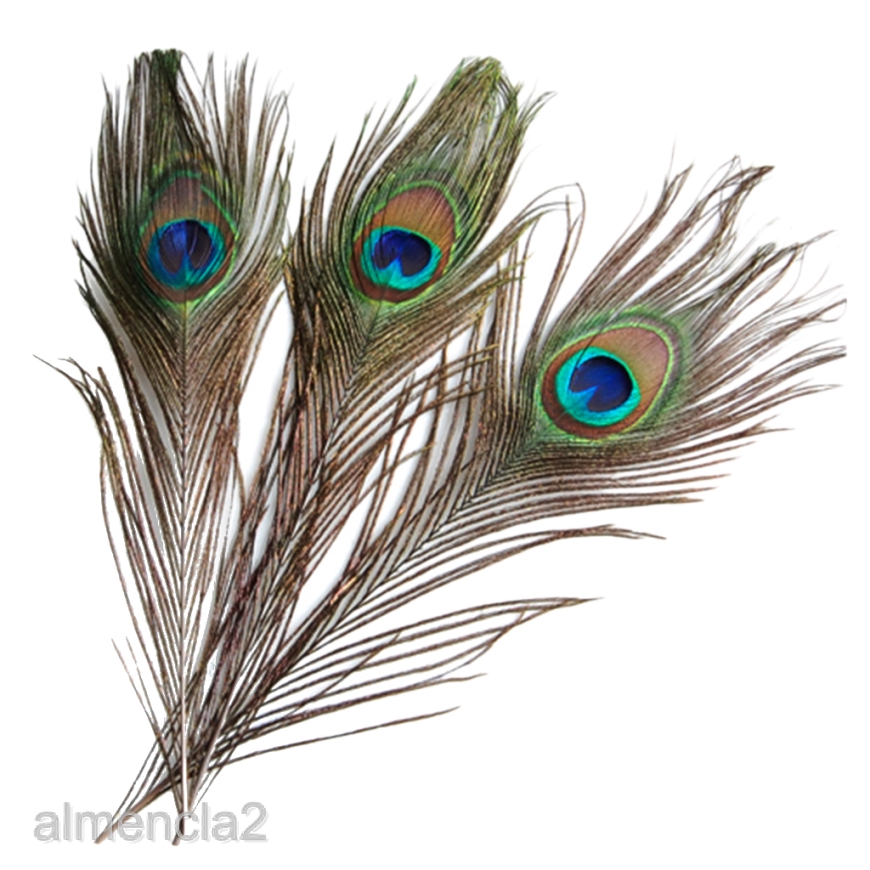 10pcs Peacock Eye Tail Feathers for DIY Crafts Hat Millinery Making Trimming