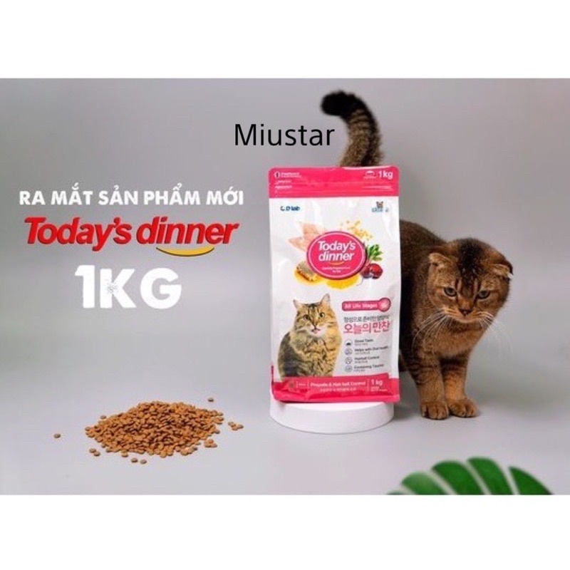Hạt thức ăn Today's Dinner cho mèo mọi lứa tuổi túi nguyên 1kg