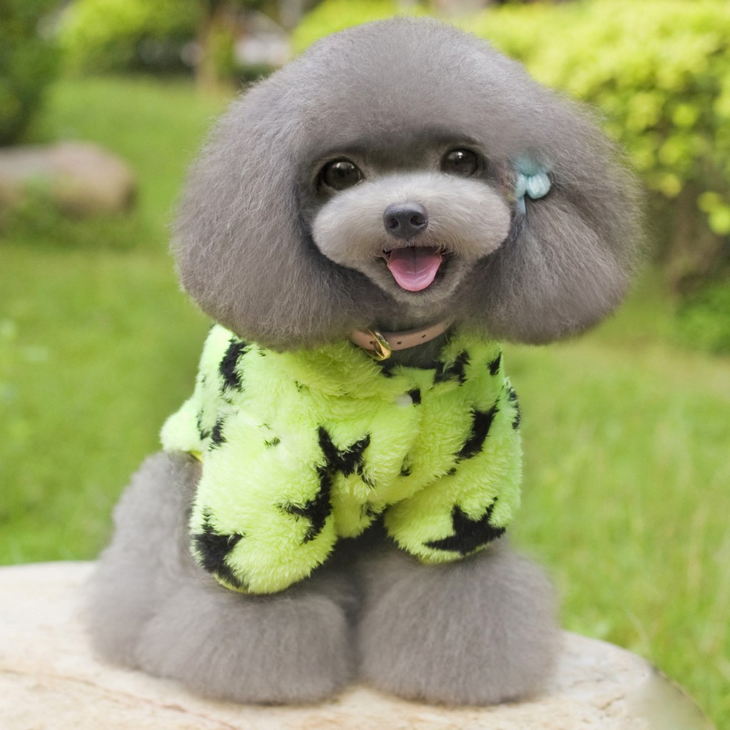 Áo Hoodie In Hình Ngôi Sao Cho Thú Cưng