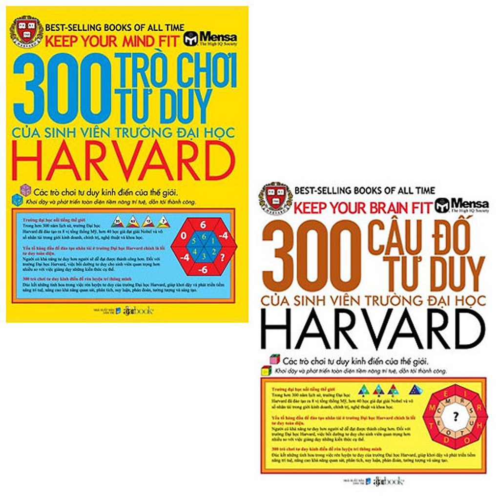 Sách - Combo 300 Trò Chơi Tư Duy và 300 Câu Đố Tư Duy Của Sinh Viên Trường Đại Học Harvard