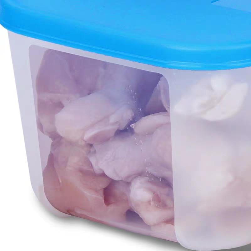 Hộp trữ đông thức ăn trong tủ lạnh  700ml chính hãng Tupperware TU19