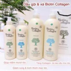 [HIT]DẦU GỘI- XẢ DƯỠNG TÓC BIOTIN  & COLLAGEN 1000ML | BigBuy360 - bigbuy360.vn