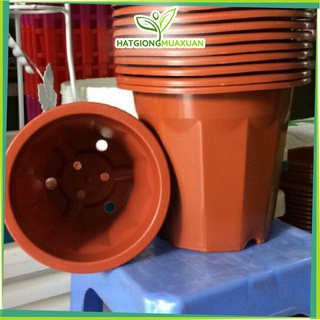 SET 05 Chậu nhựa trồng cây hoa cảnh E330 đường kính 29x27 c/lượng, hg C/ty.