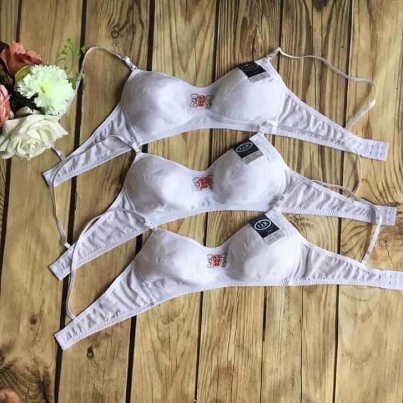 Áo lót vải cho học sinh không gọng, không mút, áo lót lá gấu đủ size 32 34 36