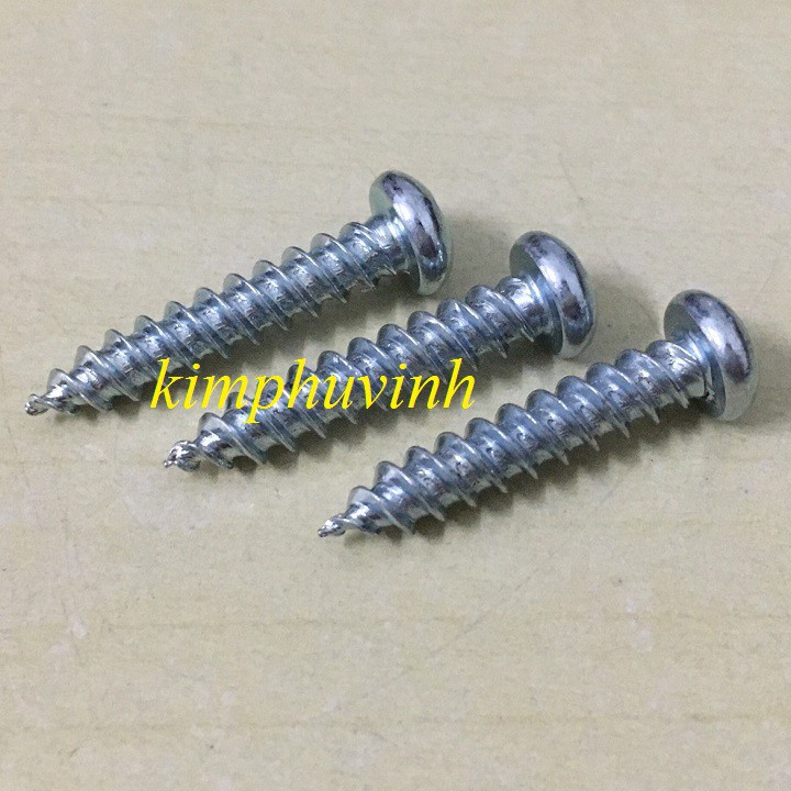 100 CON M5x25 mm - VÍT ĐẦU TRÒN - VÍT CỬA NHÔM - VÍT GẠO 2P5