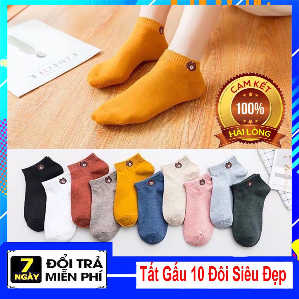 Combo 10 đôi tất gấu nữ siêu đẹp