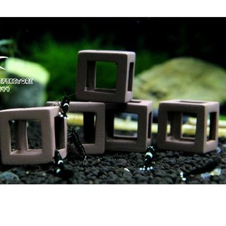 Đồ chơi) cho tép cảnh (1 Viên