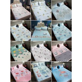 Chiếu điều hoà làm mát các mẫu xinh
