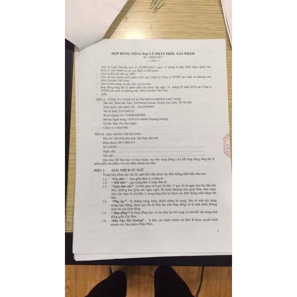 FREESHIP 99K Son rose mini garden chính hãng