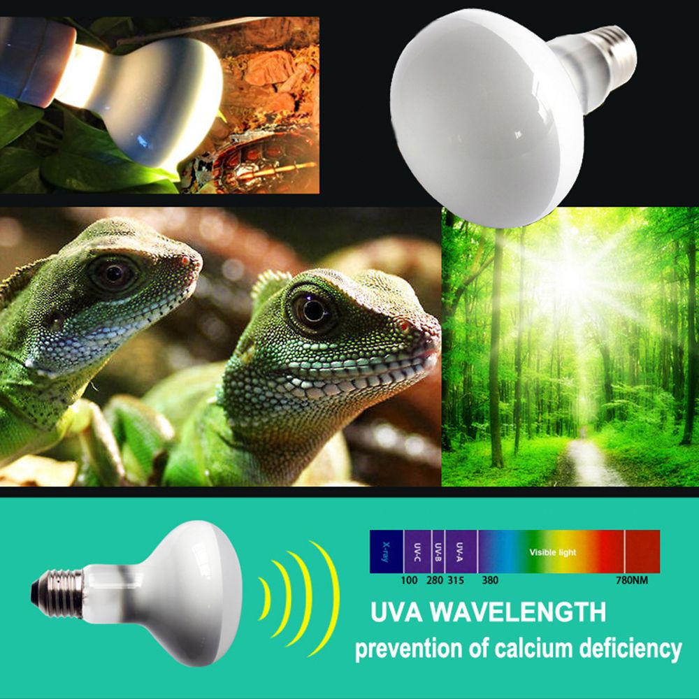Đèn sưởi ấm cho bò sát/ thằn lằn UVA
