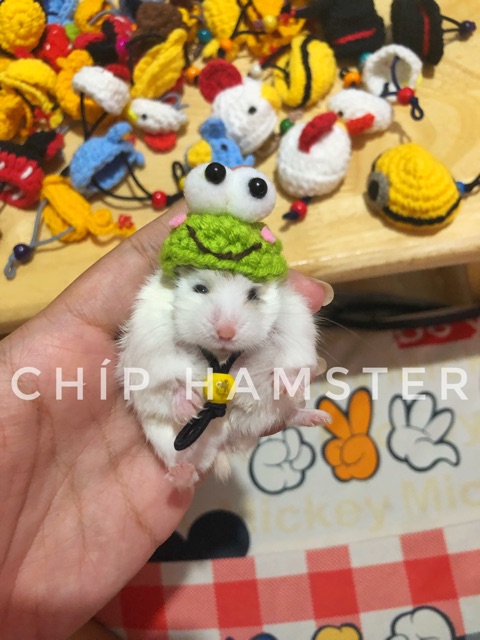 Nón len chụp ảnh ✨