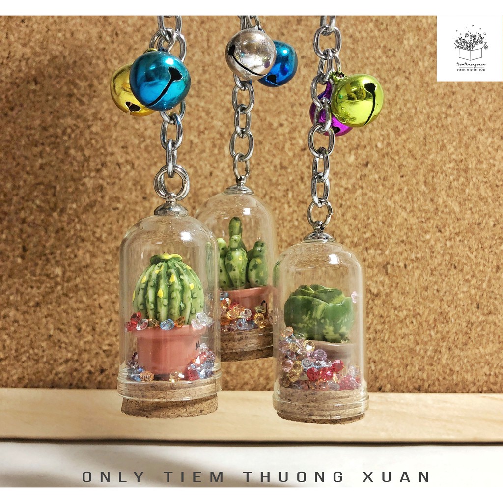 Trang trí tiểu cảnh - Đủ loại - Terrarium - Cây cảnh mini sen đá xương rồng - Tiệm Thường Xuân