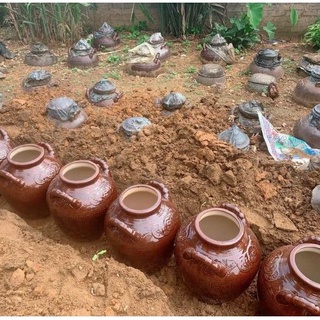 Cốt Gừng Hạ Thổ Cho Mẹ Sau Sinh (Handmade nhà làm)