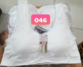Áo lá Học sinh - bản size lớn