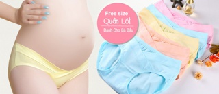 Combo Quần lót bầu cạp chéo chất xịn