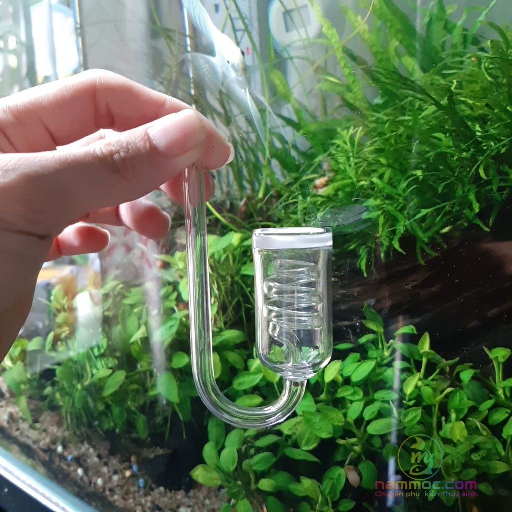 Cốc Sủi CO2 Thuỷ Tinh Siêu Mịn Siêu Đẹp, Có Tích Hợp Đếm Giọt Xoắn Ốc - Cốc Sủi CO2 Cho Bể Thuỷ Sỉnh