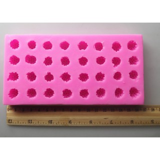 Khuôn silicon 4D 32 quả phúc bồn tử MK-2000