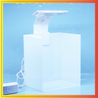 HỒ SHOW GUPPY ACRYLIC