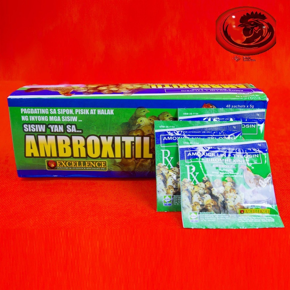 Thuốc Úm Gà Con Nhập AMBROXITIL 1 gói 5 gam