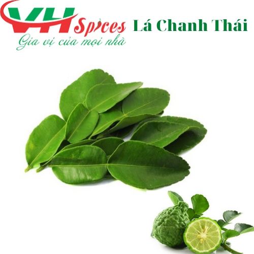 Lá Chanh Thái - Lá Chúc Tươi Giá Sỉ Việt Hiệp 1kg - Không Ship đi tỉnh xa