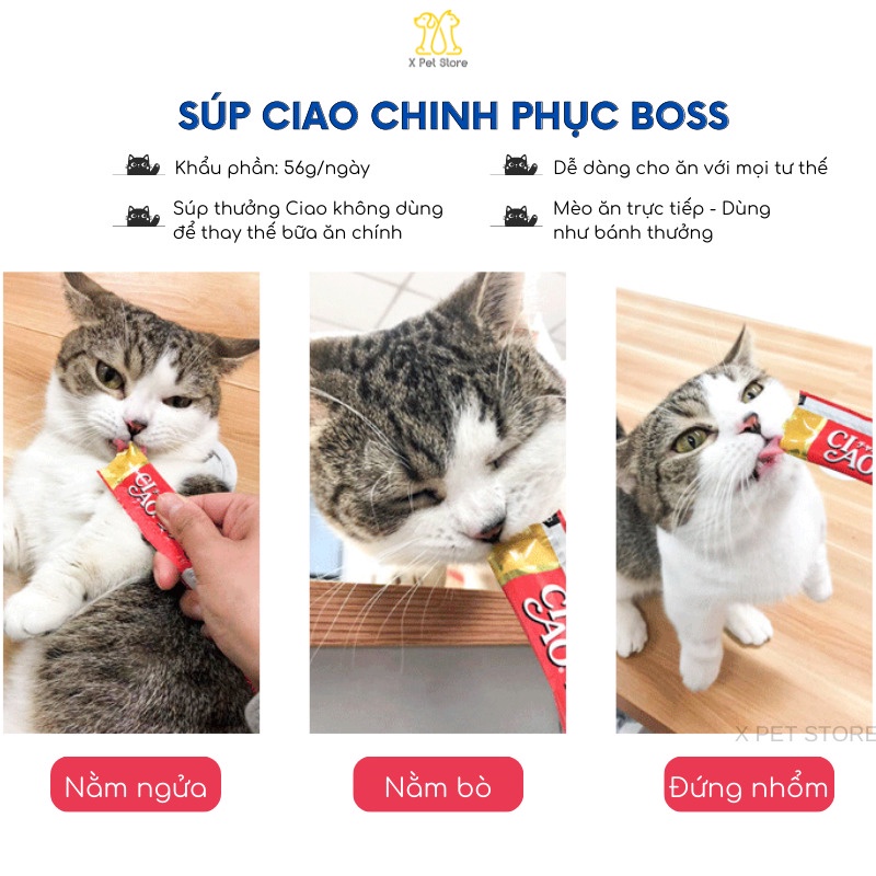 Súp Ciao Churu,COMBO 10 GÓI, Súp Thưởng Cho Mèo, Mix Vị