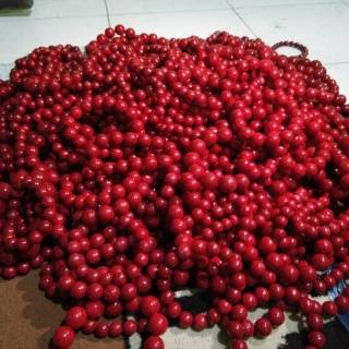 Vòng đeo tay màu đỏ san hô xinh xắn thời trang