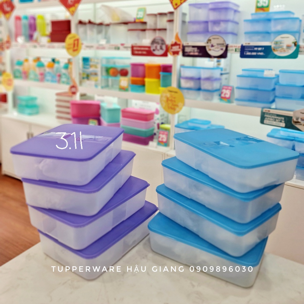 HÀNG CHÍNH HÃNG - Hộp trữ Đông Tupperware 3.1l siêu to tiện dụng