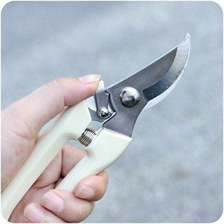 Kéo cắt tỉa cành cây hàng nhập khẩu và phân phối chính hãng.