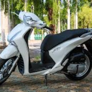 [53104GGC900] GÙ SHVN 2013-2019