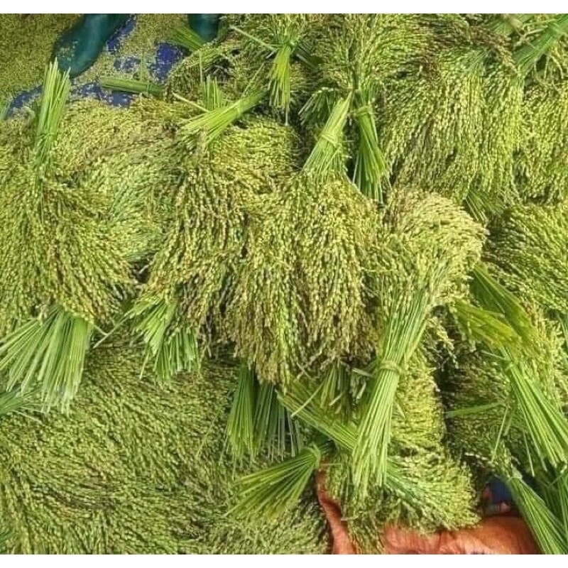 500gr cốm mộc Tây Bắc