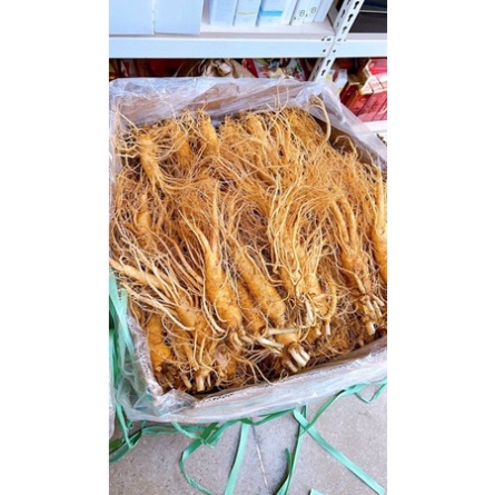 Sâm Tươi Hàn Quốc 8 Củ 1 Kg Loại Thân Dài Đẹp Kiểm Tra Hàng Trước Khi Thanh Toán [ Hàng Mới Về ]