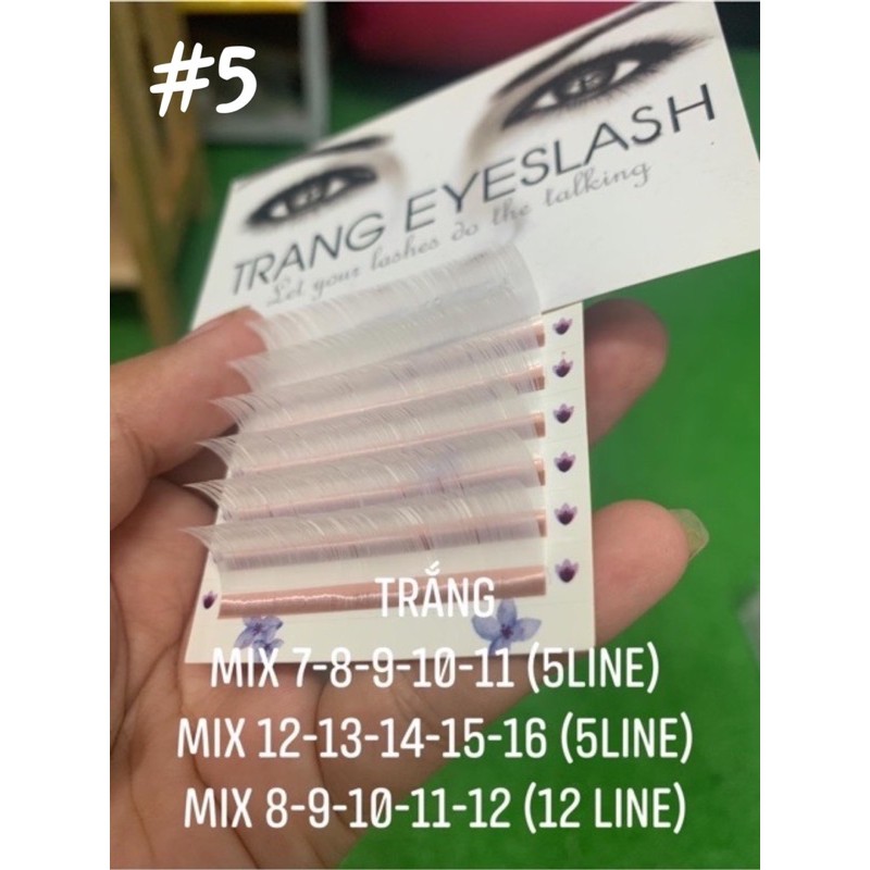Mi màu mix size các loại , nhiều màu sắc đặc biệt, siêu đẹp