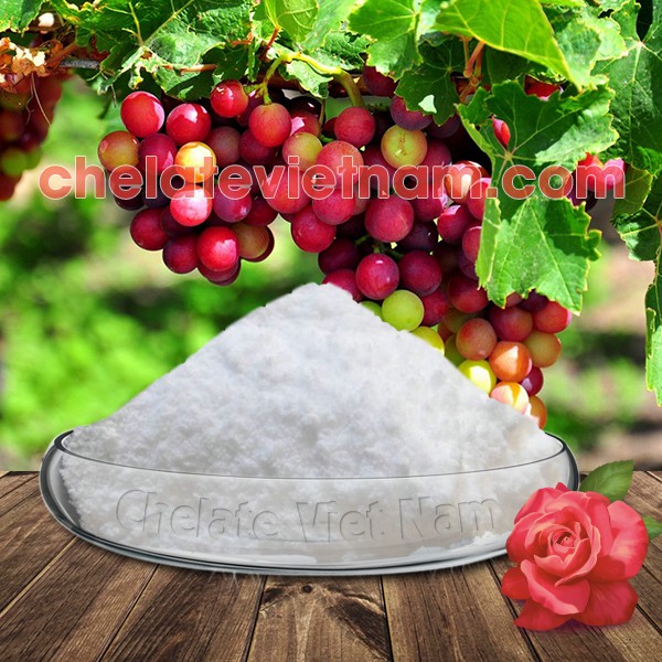 4-CPA-Na 98%  gói 100g