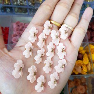 Hoa bột, hoa cúc( gạt ảnh chọn màu)
