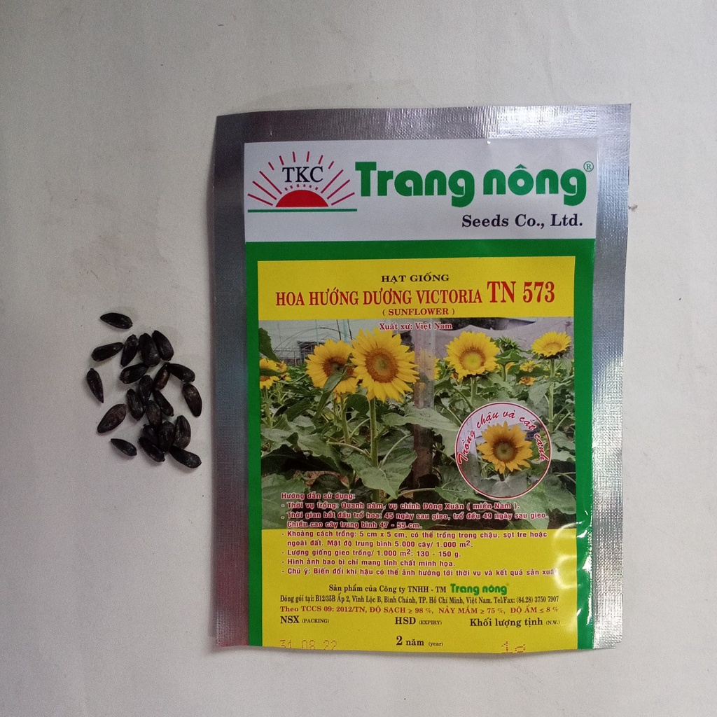 HOA HƯỚNG DƯƠNG VICTORIA TN 573